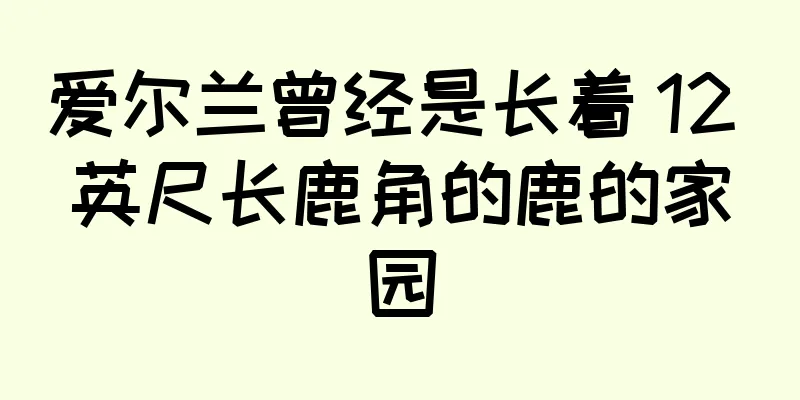 爱尔兰曾经是长着 12 英尺长鹿角的鹿的家园