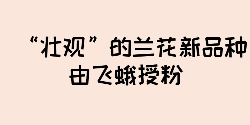 “壮观”的兰花新品种由飞蛾授粉