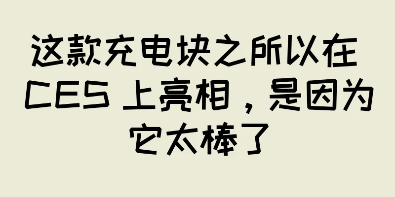 这款充电块之所以在 CES 上亮相，是因为它太棒了