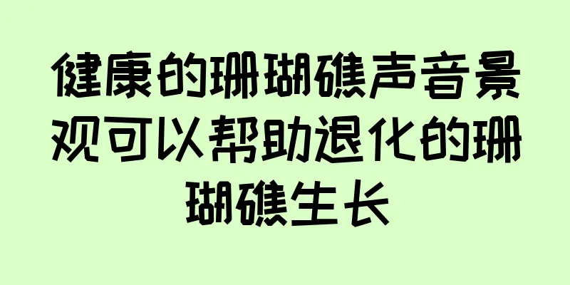健康的珊瑚礁声音景观可以帮助退化的珊瑚礁生长