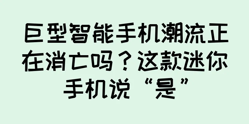 巨型智能手机潮流正在消亡吗？这款迷你手机说“是”