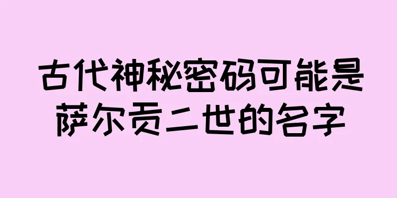 古代神秘密码可能是萨尔贡二世的名字