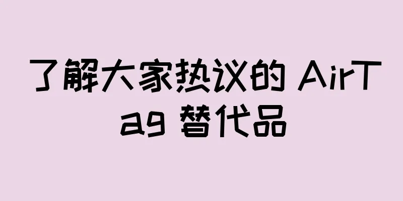 了解大家热议的 AirTag 替代品