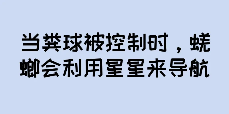 当粪球被控制时，蜣螂会利用星星来导航