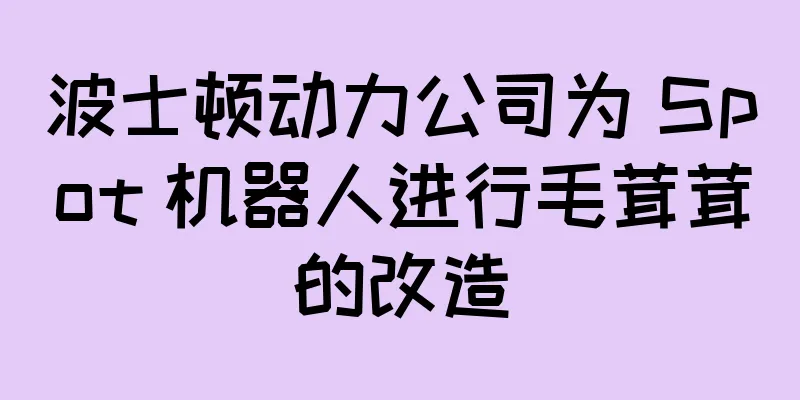 波士顿动力公司为 Spot 机器人进行毛茸茸的改造