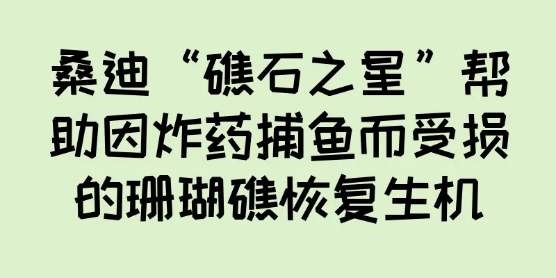 桑迪“礁石之星”帮助因炸药捕鱼而受损的珊瑚礁恢复生机