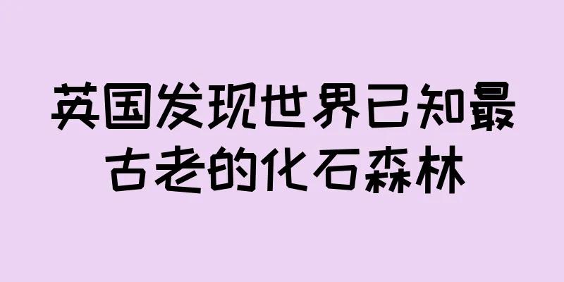 英国发现世界已知最古老的化石森林