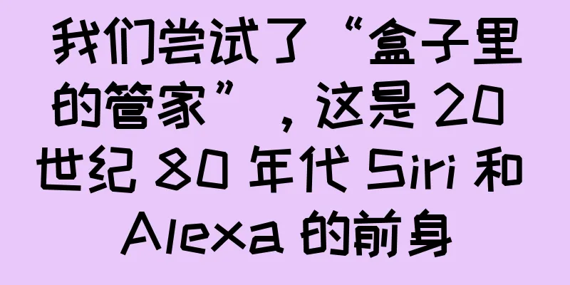 我们尝试了“盒子里的管家”，这是 20 世纪 80 年代 Siri 和 Alexa 的前身