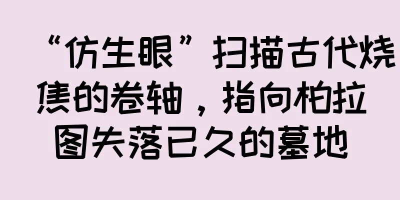 “仿生眼”扫描古代烧焦的卷轴，指向柏拉图失落已久的墓地