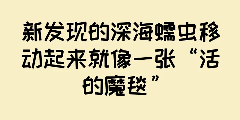 新发现的深海蠕虫移动起来就像一张“活的魔毯”