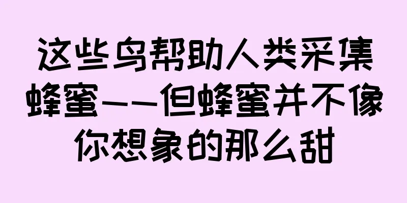 这些鸟帮助人类采集蜂蜜——但蜂蜜并不像你想象的那么甜
