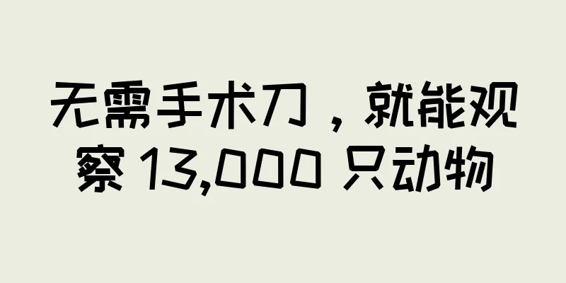 无需手术刀，就能观察 13,000 只动物