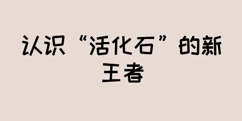 认识“活化石”的新王者
