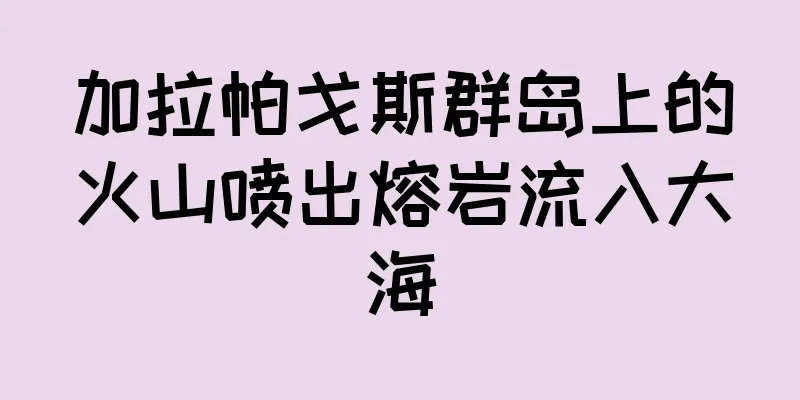 加拉帕戈斯群岛上的火山喷出熔岩流入大海