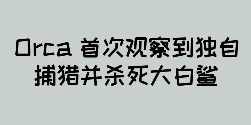 Orca 首次观察到独自捕猎并杀死大白鲨