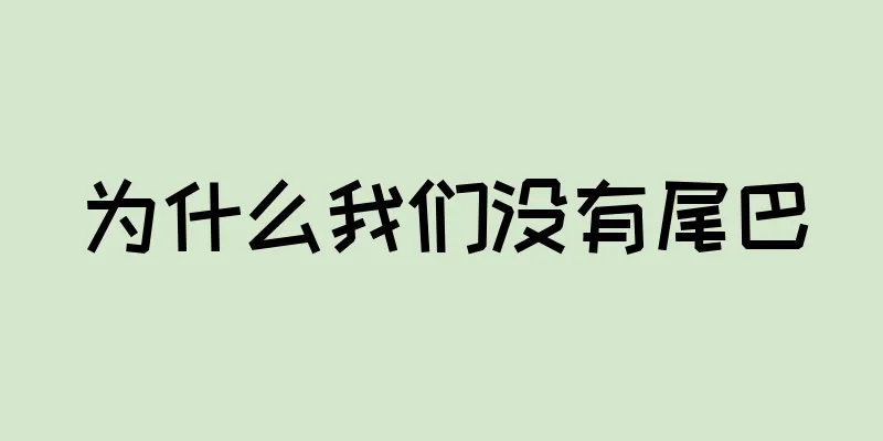 为什么我们没有尾巴