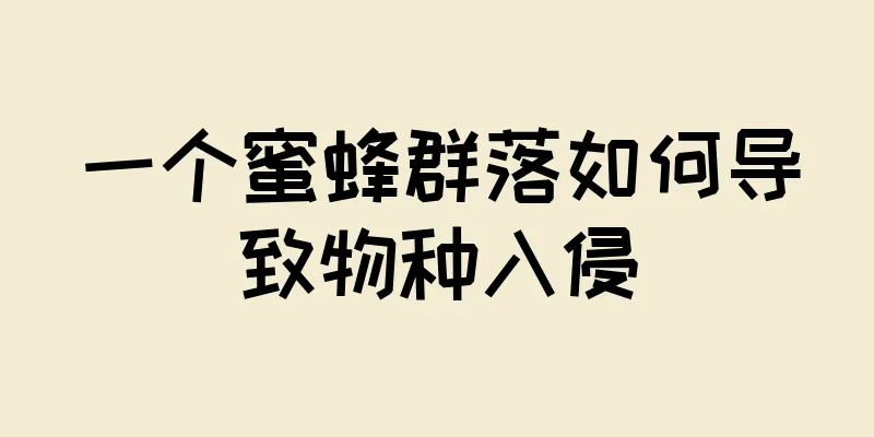 一个蜜蜂群落如何导致物种入侵