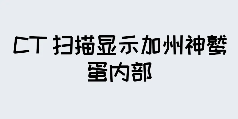 CT 扫描显示加州神鹫蛋内部
