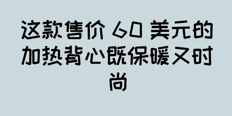 这款售价 60 美元的加热背心既保暖又时尚