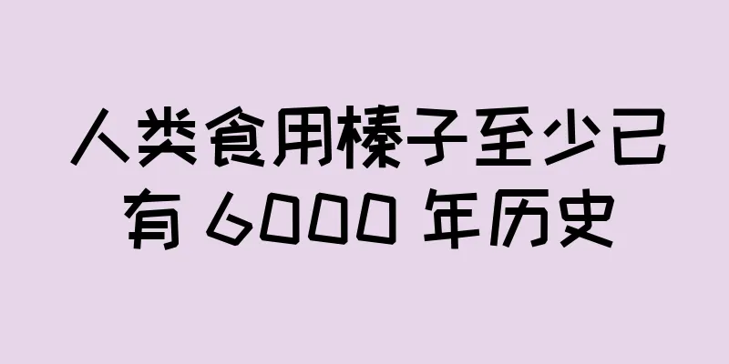 人类食用榛子至少已有 6000 年历史