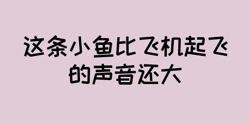 这条小鱼比飞机起飞的声音还大