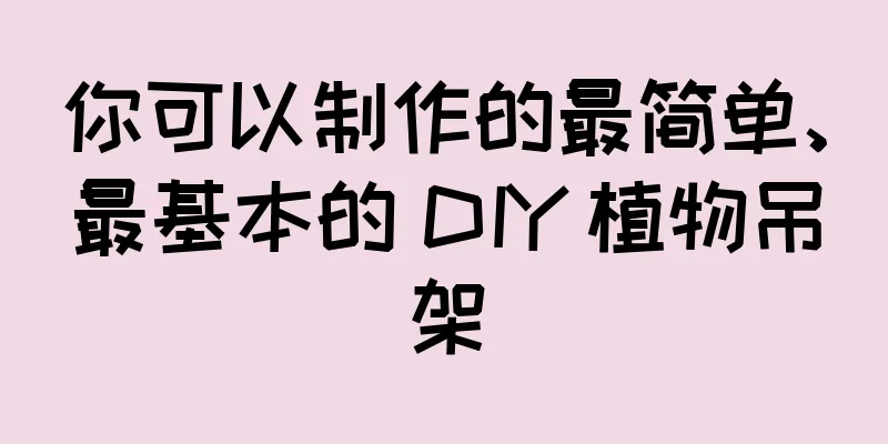 你可以制作的最简单、最基本的 DIY 植物吊架