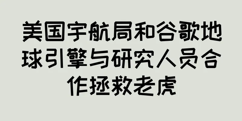 美国宇航局和谷歌地球引擎与研究人员合作拯救老虎