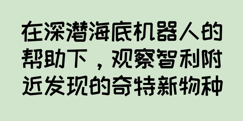 在深潜海底机器人的帮助下，观察智利附近发现的奇特新物种