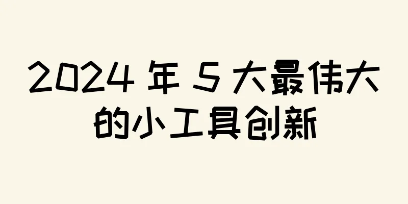 2024 年 5 大最伟大的小工具创新