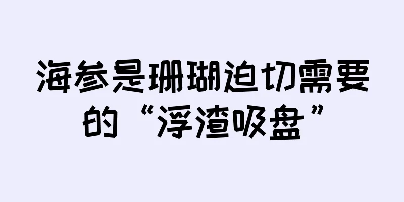 海参是珊瑚迫切需要的“浮渣吸盘”