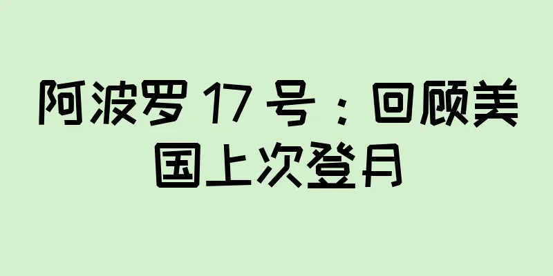 阿波罗 17 号：回顾美国上次登月