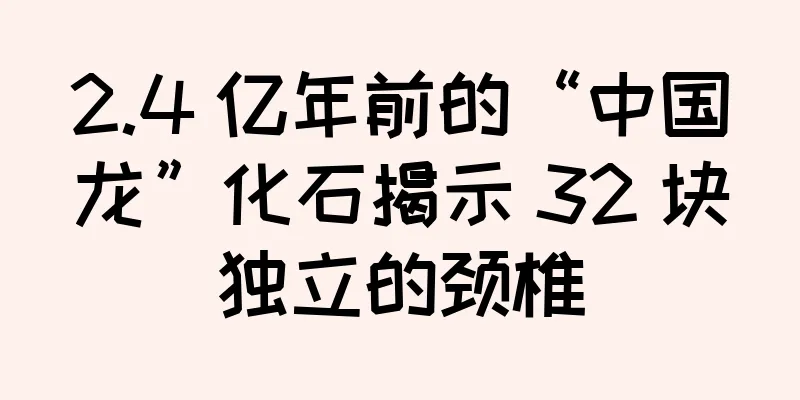 2.4 亿年前的“中国龙”化石揭示 32 块独立的颈椎