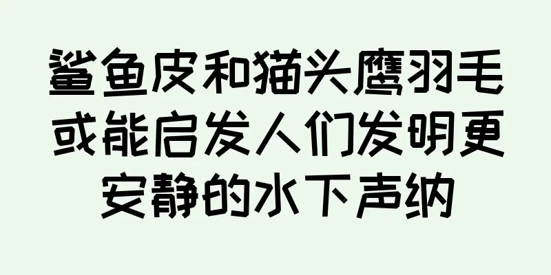 鲨鱼皮和猫头鹰羽毛或能启发人们发明更安静的水下声纳