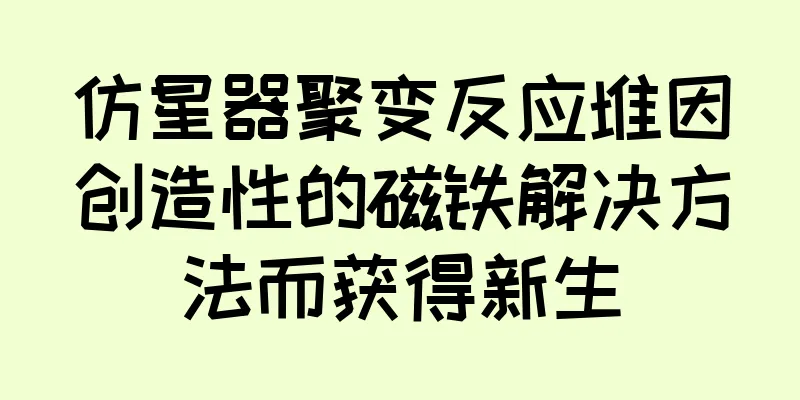 仿星器聚变反应堆因创造性的磁铁解决方法而获得新生