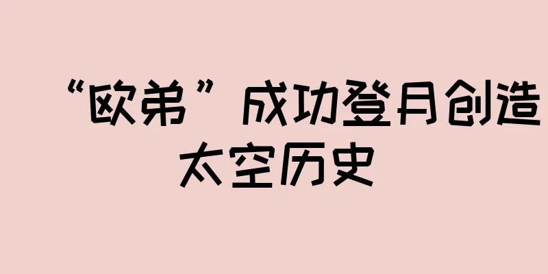 “欧弟”成功登月创造太空历史