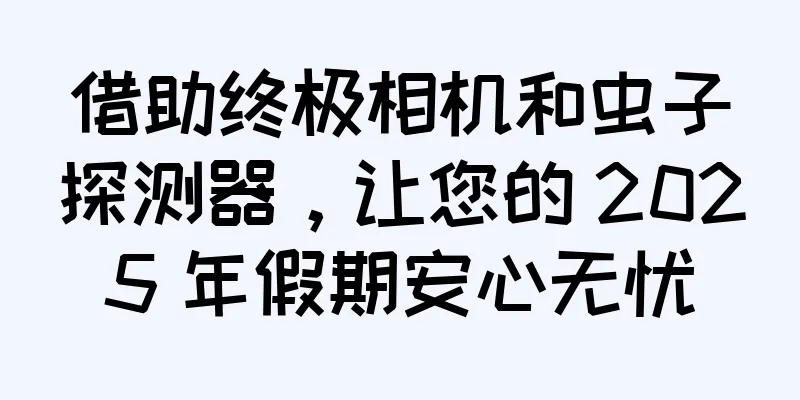 借助终极相机和虫子探测器，让您的 2025 年假期安心无忧