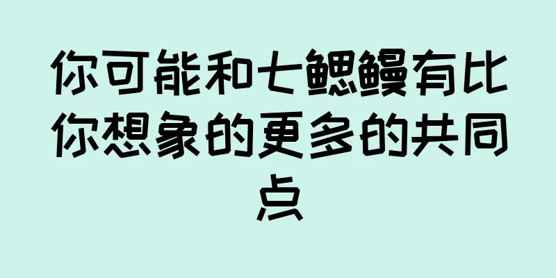 你可能和七鳃鳗有比你想象的更多的共同点