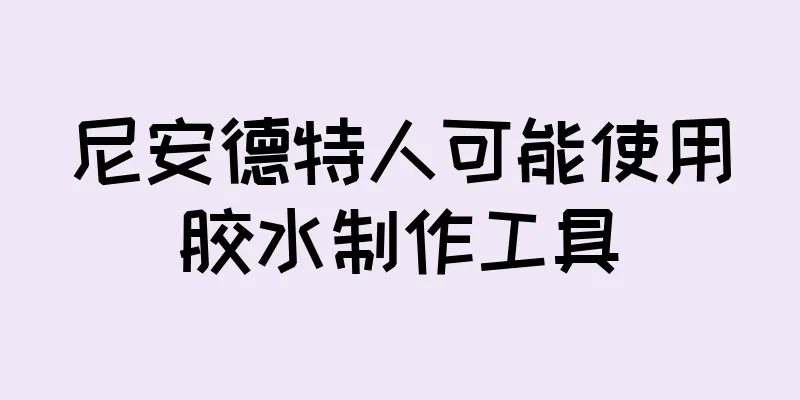 尼安德特人可能使用胶水制作工具