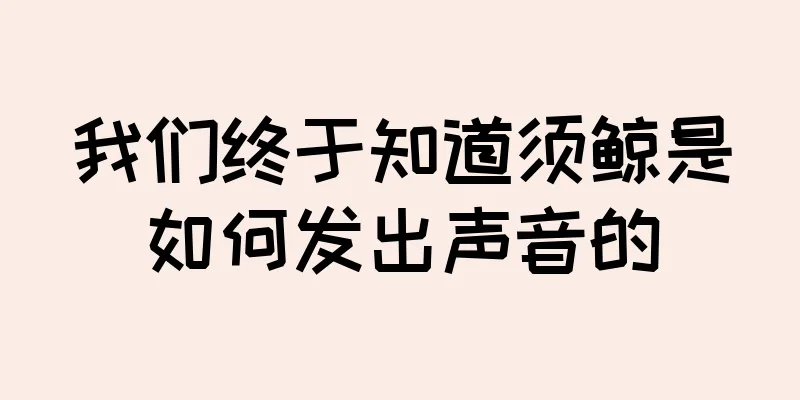 我们终于知道须鲸是如何发出声音的
