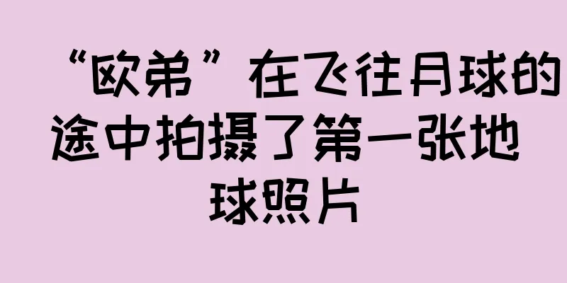 “欧弟”在飞往月球的途中拍摄了第一张地球照片