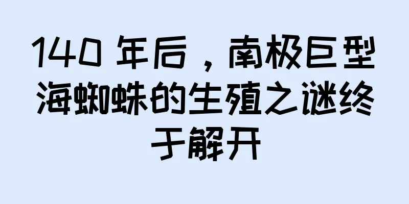 140 年后，南极巨型海蜘蛛的生殖之谜终于解开