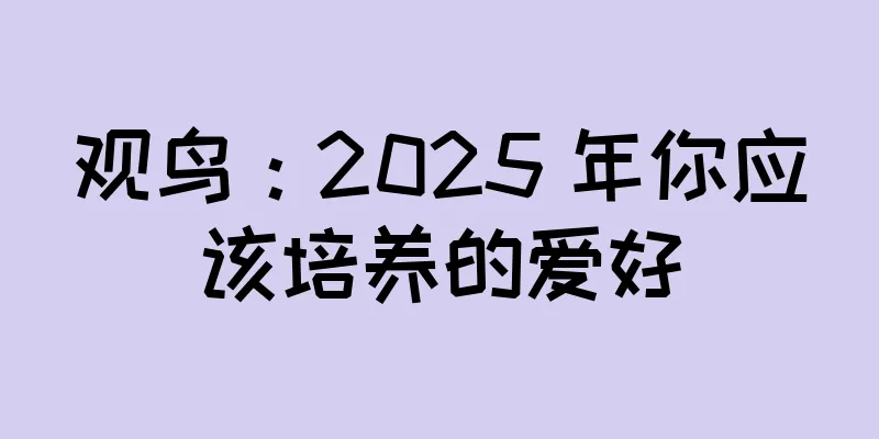 观鸟：2025 年你应该培养的爱好