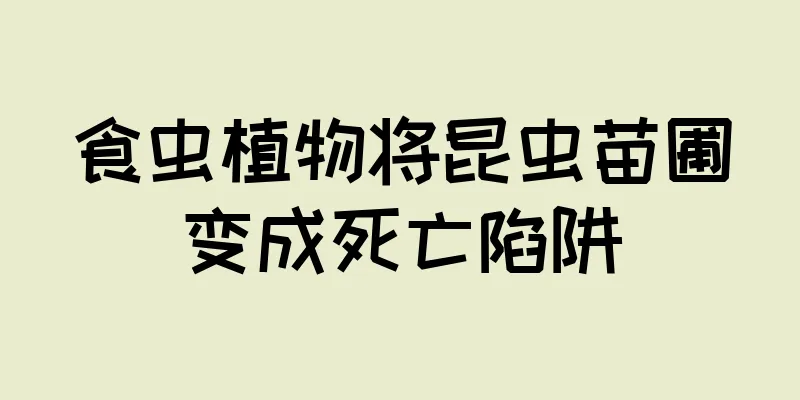 食虫植物将昆虫苗圃变成死亡陷阱