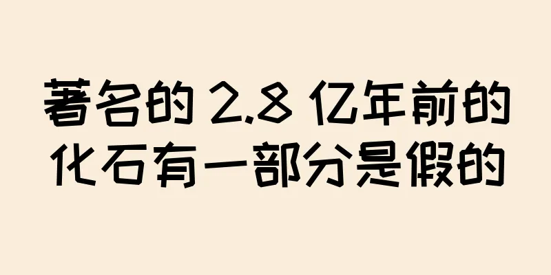 著名的 2.8 亿年前的化石有一部分是假的