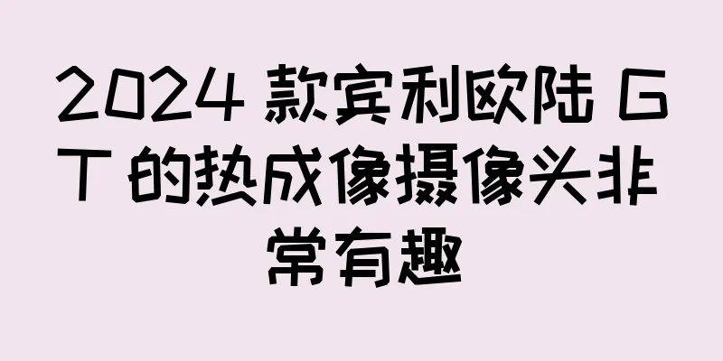 2024 款宾利欧陆 GT 的热成像摄像头非常有趣