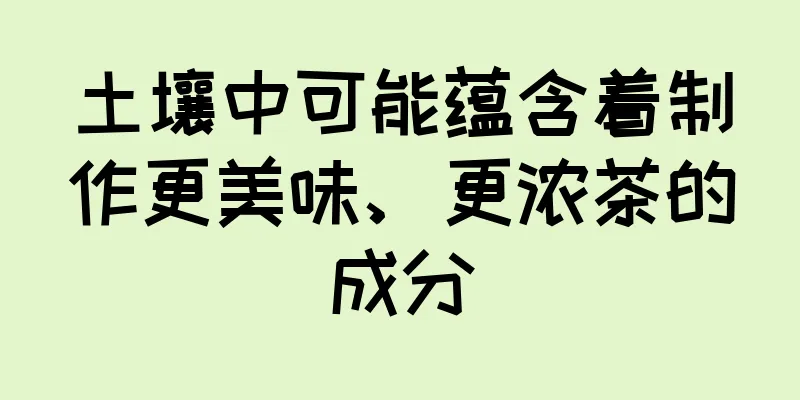 土壤中可能蕴含着制作更美味、更浓茶的成分