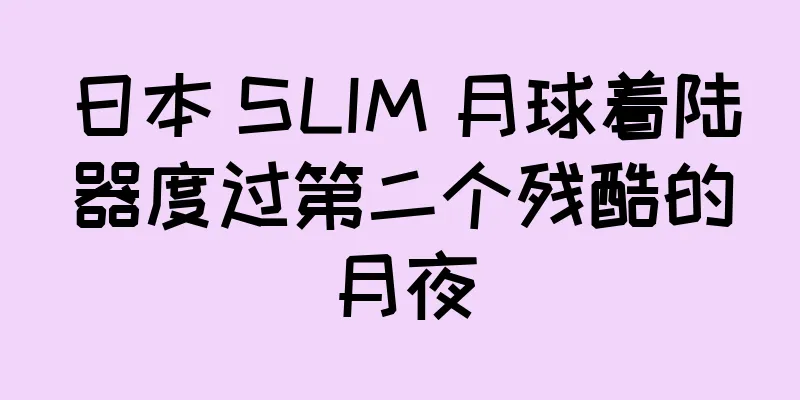 日本 SLIM 月球着陆器度过第二个残酷的月夜
