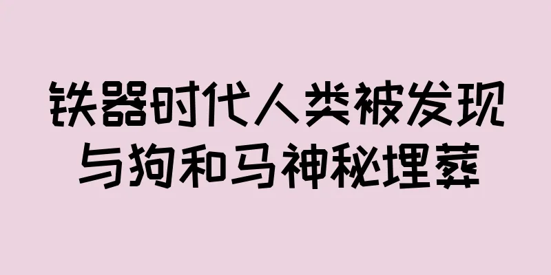 铁器时代人类被发现与狗和马神秘埋葬