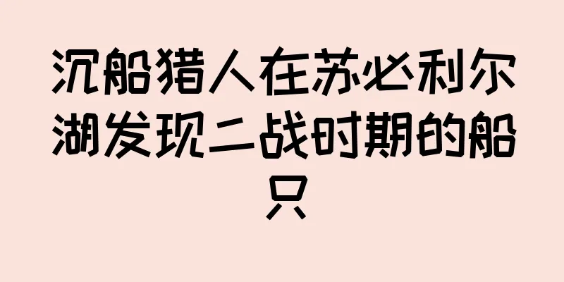沉船猎人在苏必利尔湖发现二战时期的船只