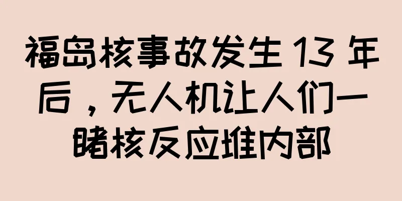 福岛核事故发生 13 年后，无人机让人们一睹核反应堆内部